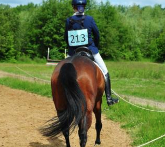 Equine Performance Rider Physio